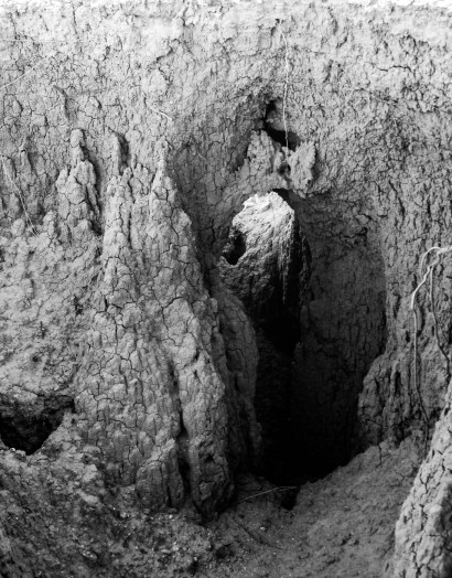 DESIERTO DE ZAPOTITLÁN SALINAS_6