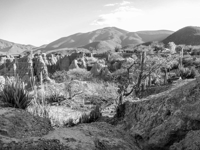 DESIERTO DE ZAPOTITLÁN SALINAS_6