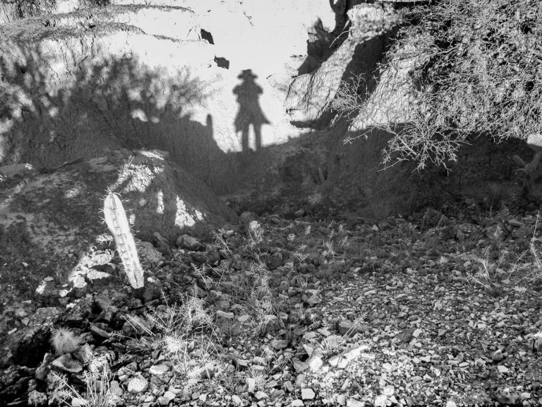 DESIERTO DE ZAPOTITLÁN SALINAS_6