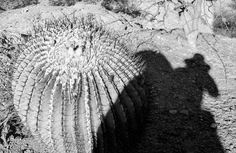 DESIERTO DE ZAPOTITLÁN SALINAS_6