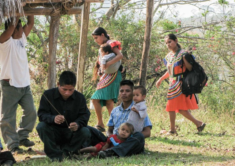 fiesta siembra méxico_6