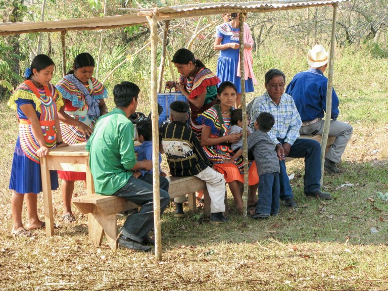 fiesta siembra méxico_6
