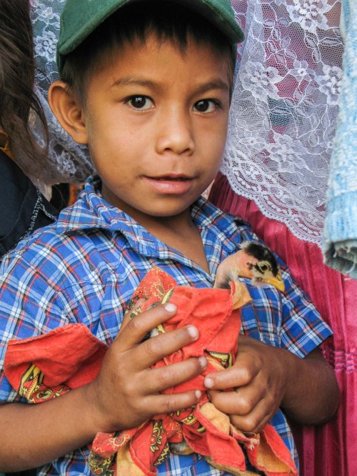 fiesta siembra méxico_6