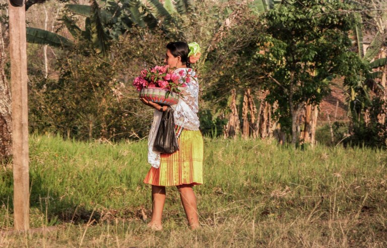 FIESTA SIEMBRA MEXICO_7