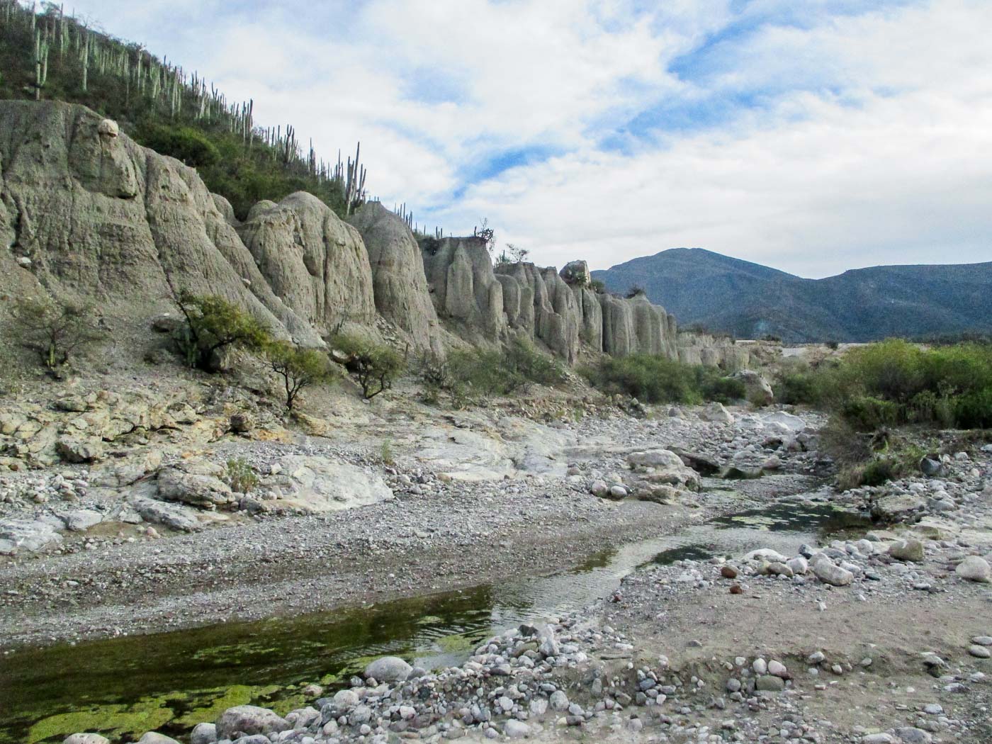 zapotitlan salinas_3