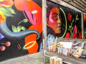 CENTRO HISTORICO MEXICO FESTIVAL GRAFITI_24