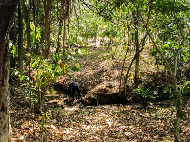 preparativos fiesta de la cruz