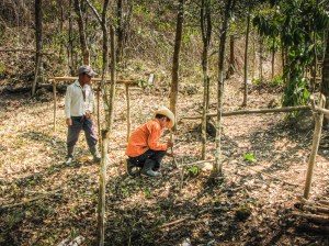 preparativos fiesta de la cruz