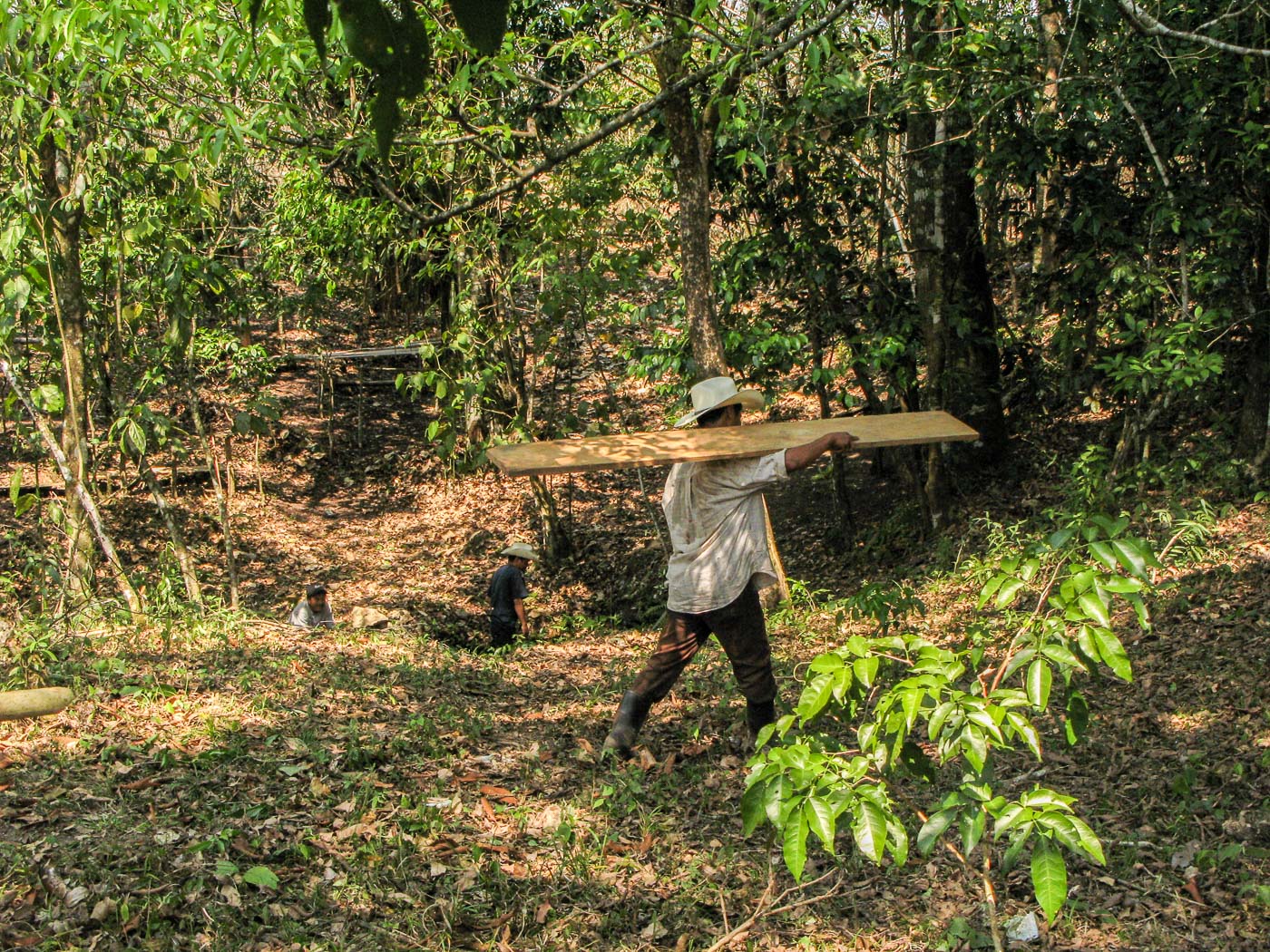 preparativos fiesta de la cruz_11