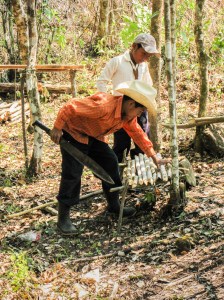 preparativos fiesta de la cruz_7