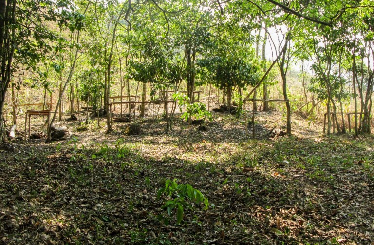 preparativos fiesta de la cruz