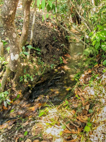 preparativos fiesta de la cruz