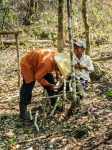 preparativos fiesta de la cruz_7