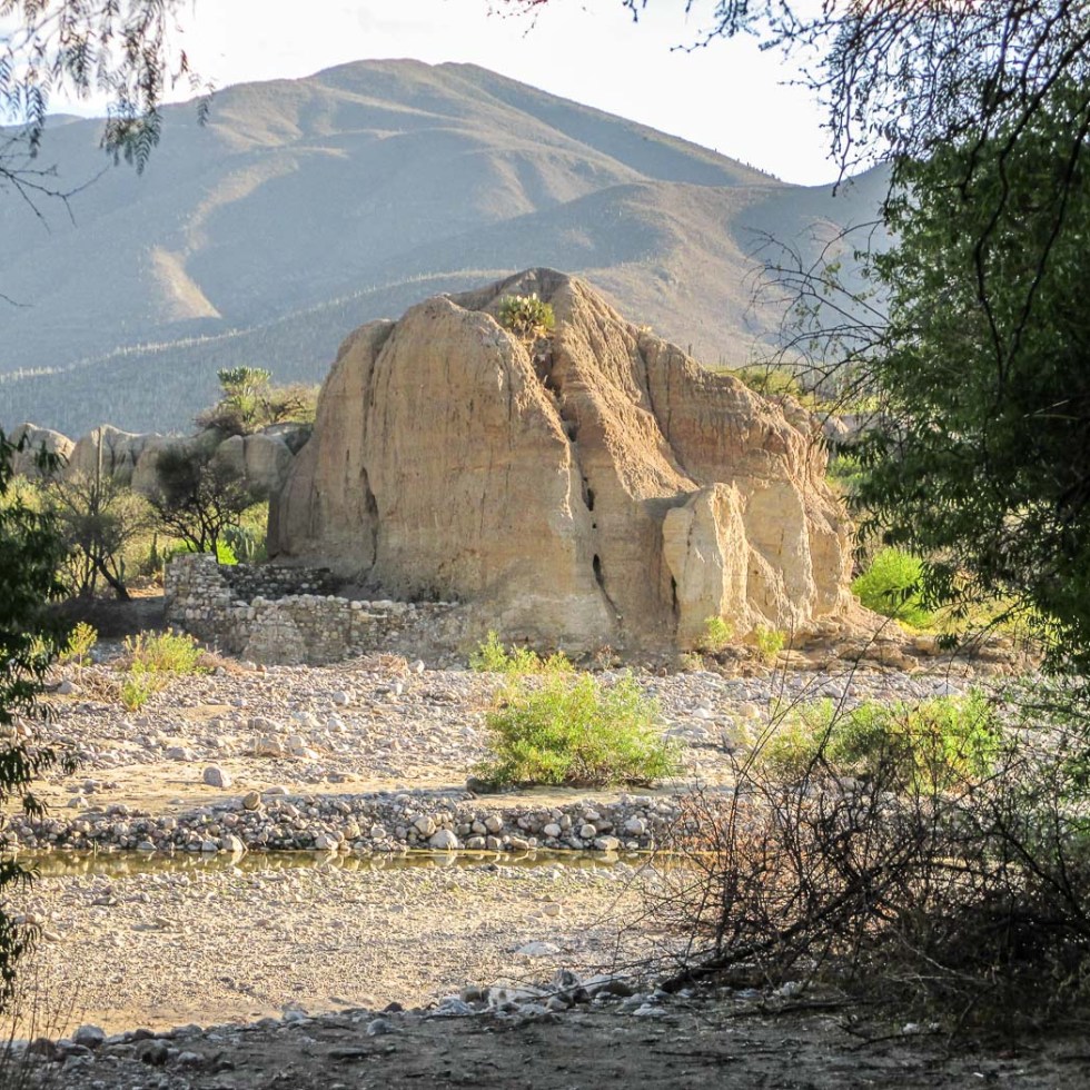 RESERVA BIOSFERA TEHUACAN_2