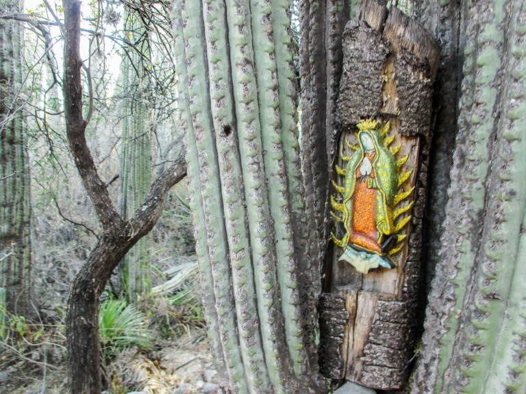 VIRGEN DE GUADALUPE