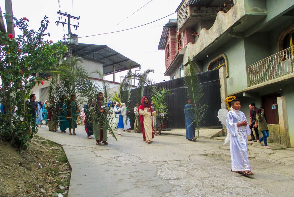 SEMANA SANTA HUAUTLA DOMINGO DE RAMOS_1
