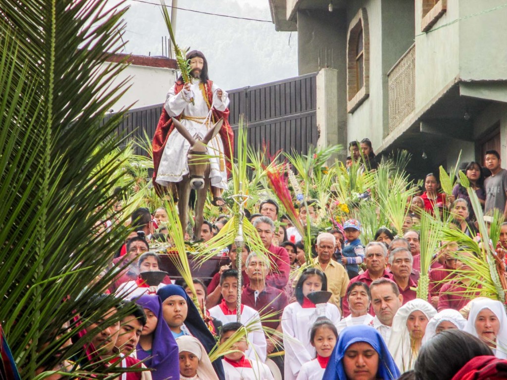 SEMANA SANTA HUAUTLA DOMINGO DE RAMOS_5