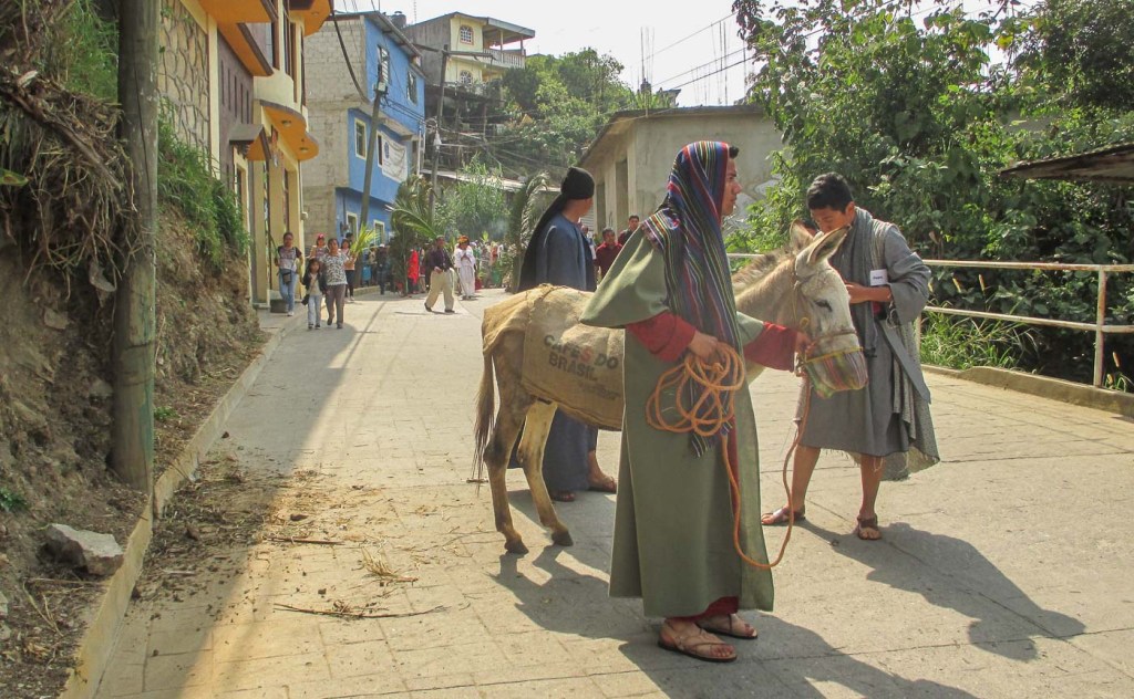 SEMANA SANTA HUAUTLA DOMINGO DE RAMOS_6