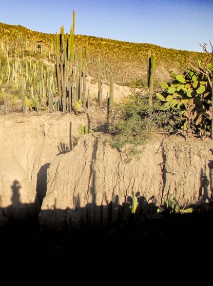 SENDERO EN RESERVA BIOSFERA TEHUACAN