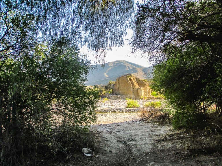 SENDERO EN RESERVA BIOSFERA TEHUACAN