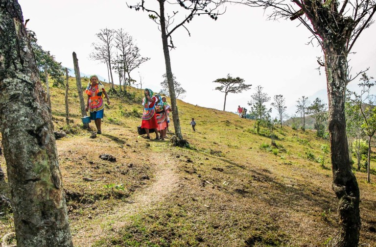 FIESTA DE LA CRUZ COMUNIDAD INDIGENA