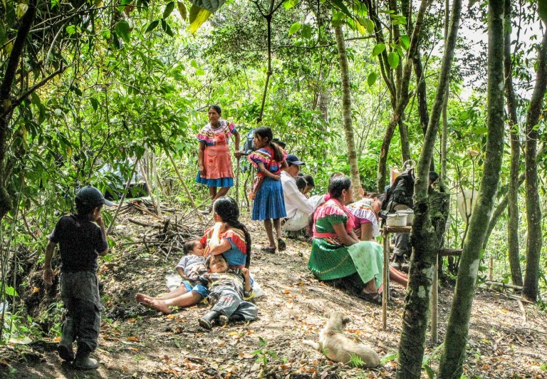 OFRENDA FIESTA DE LA SANTA CRUZ_11