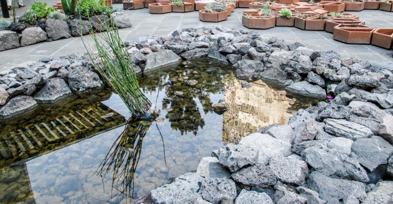 ATRIO VERDE 2019 CIUDAD DE MÉXICO_2