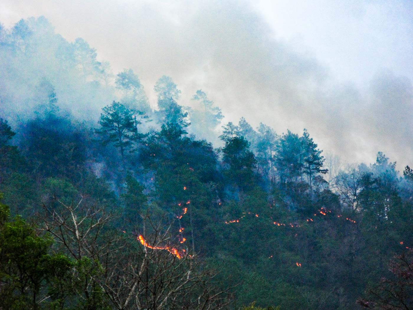 incendio en la montaña_2