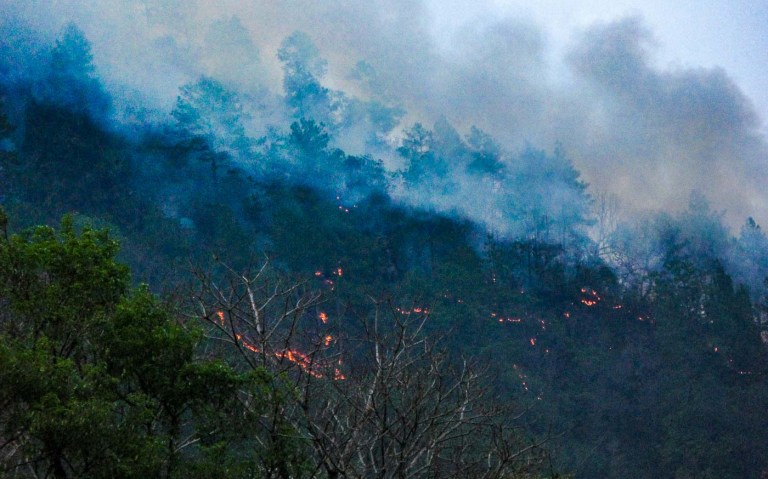 incendio en la montaña_3