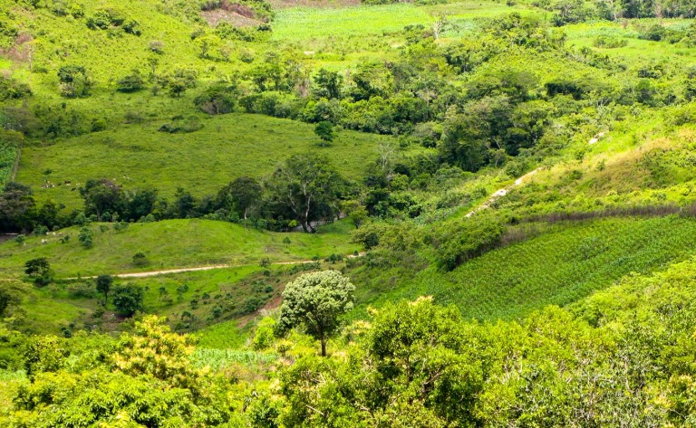 paisaje en la montaña
