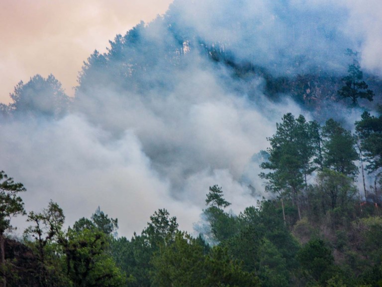 quemas agrícolas méxico_1