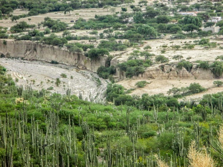 cauce río visto de la montaña