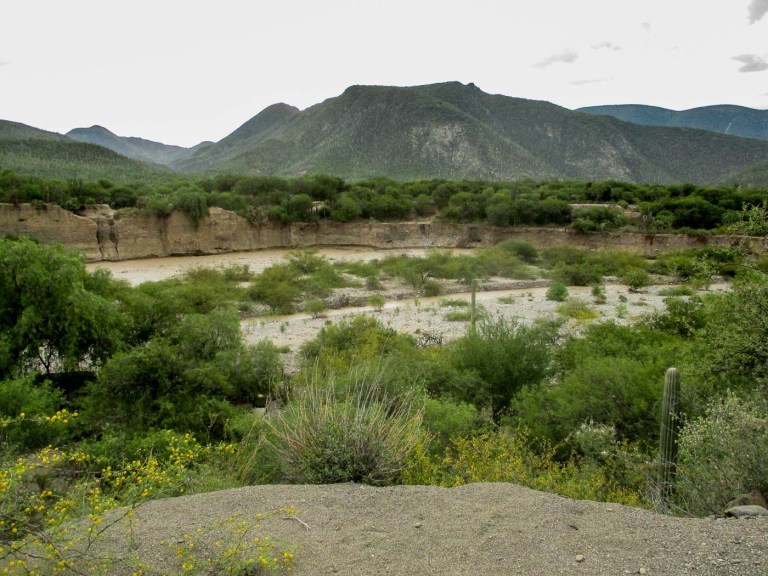 cauce río visto de la montaña