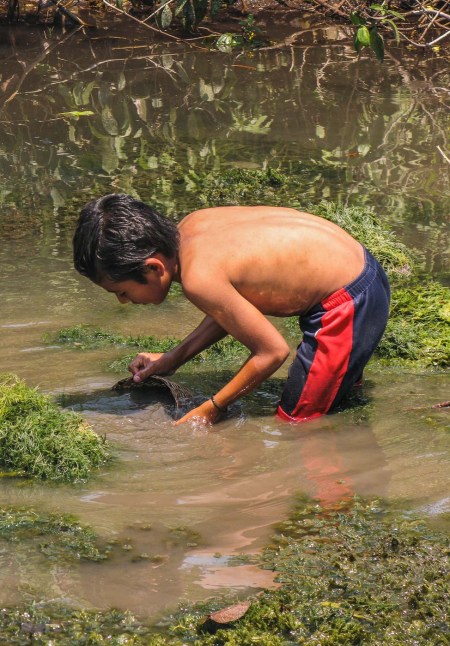 NIÑOS PESCANDO CON CANASTO_12