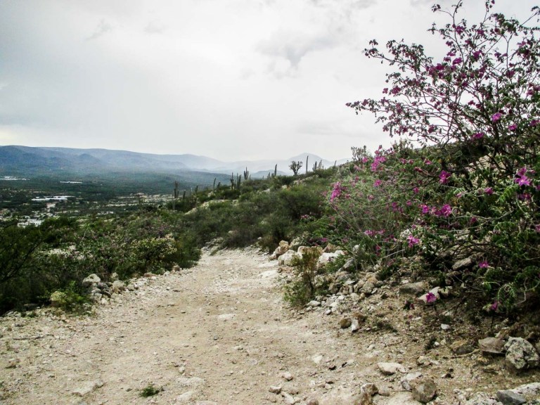 ZAPOTITLÁN _5