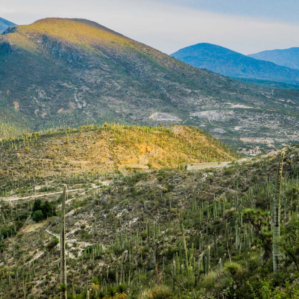 ZAPOTITLÁN SALINAS_10