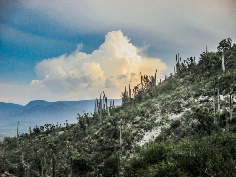 ZAPOTITLÁN SALINAS_10