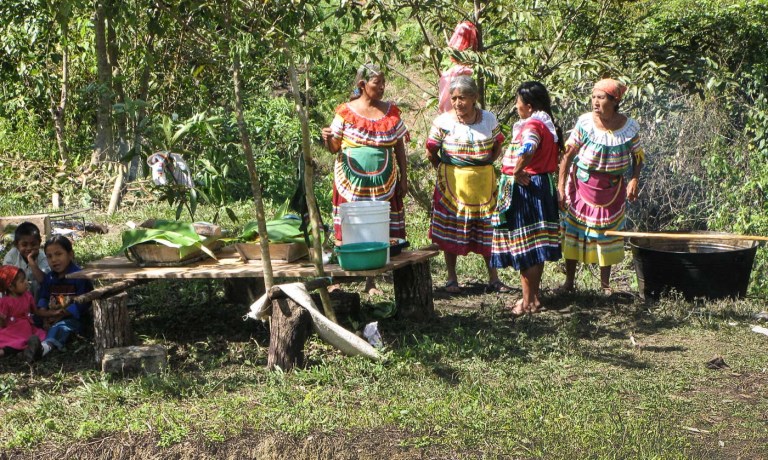 OFRENDA INDÍGENA MÉXICO_9