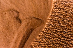 arte efímero natural_9