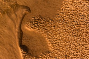 arte efímero natural_9