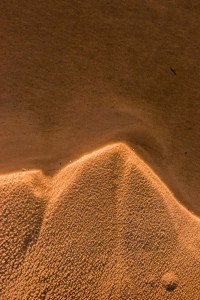 arte efímero natural_9