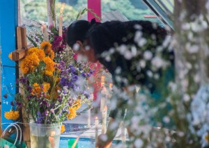 DÍA DE MUERTOS velando 2