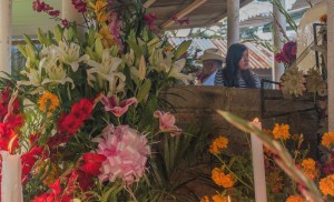 DÍA DE MUERTOS velando 2