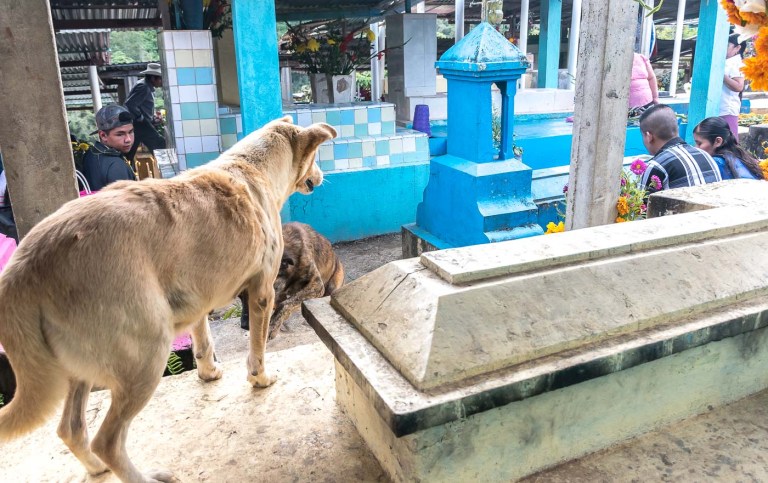 DÍA DE MUERTOS velando