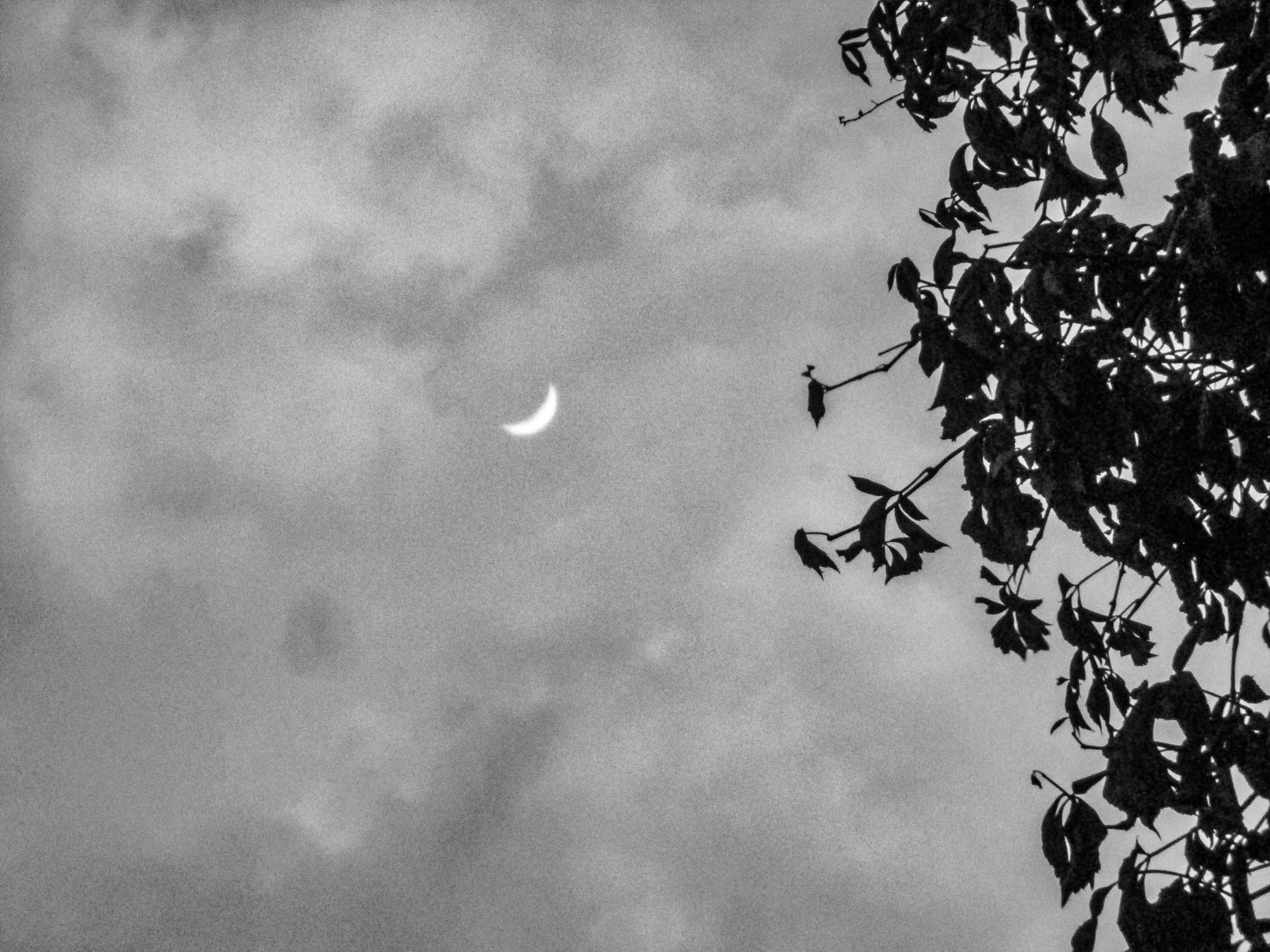 ultima luna creciente del año_4