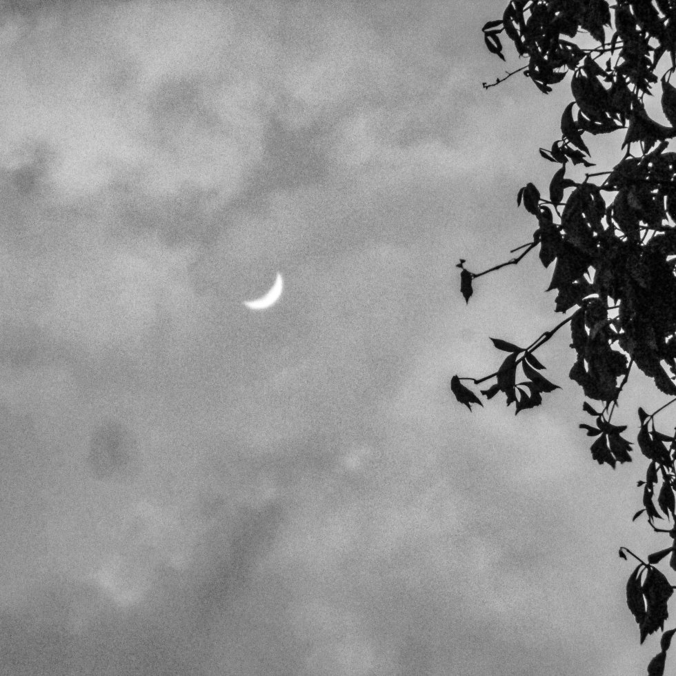 ultima luna creciente del año_4