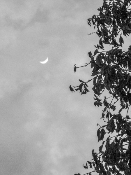 ultima luna creciente del año_4