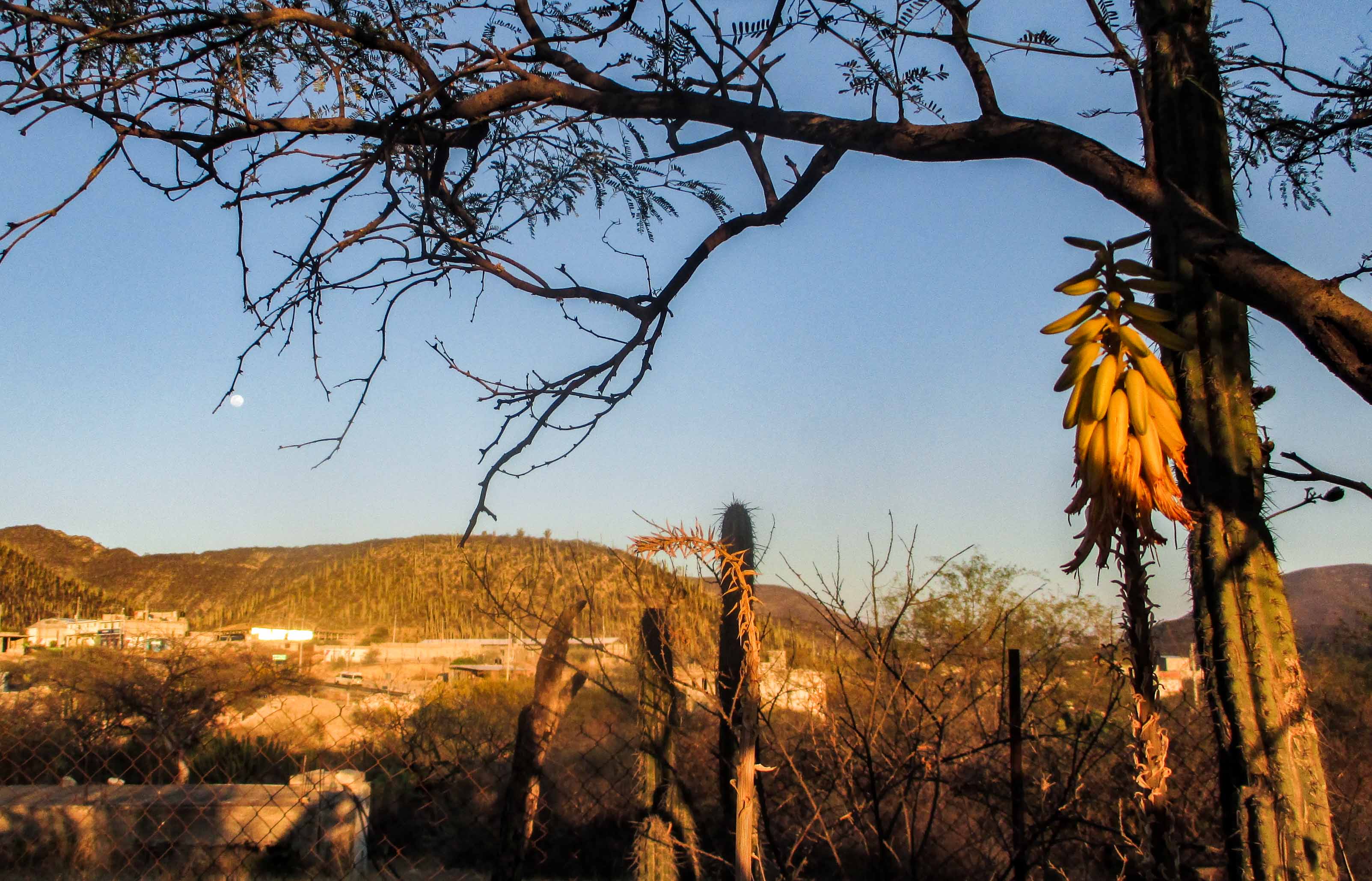 encuentro con la luna_5