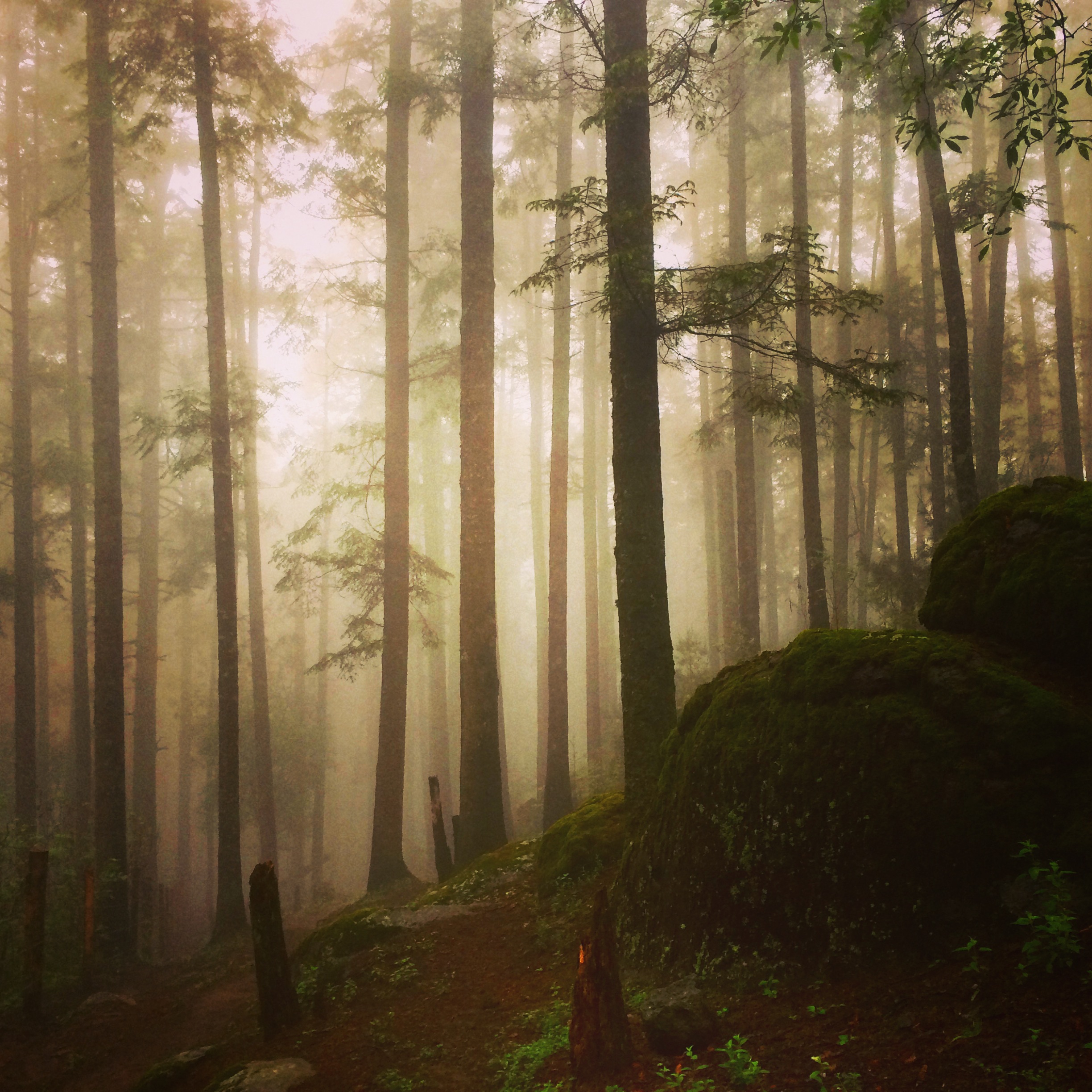 Viajografía-Desierto-de-los-Leones